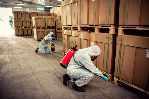 Best Exterminator Services  in Pierce City, MO