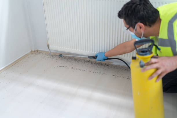 Best Best Pest Control Companies  in Pierce City, MO