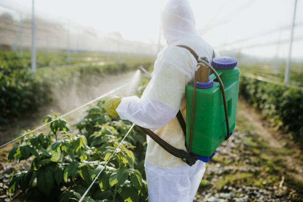 Best Cockroach Control Services  in Pierce City, MO